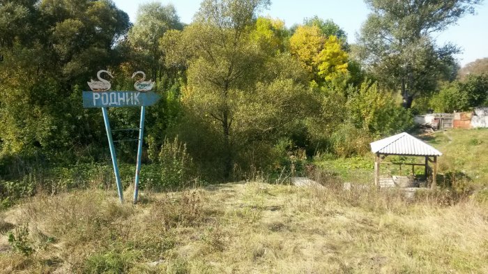 ������ �������� � �������� ���� �����������