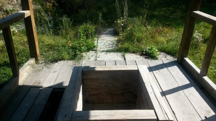 ������ �������� � �������� ���� �����������