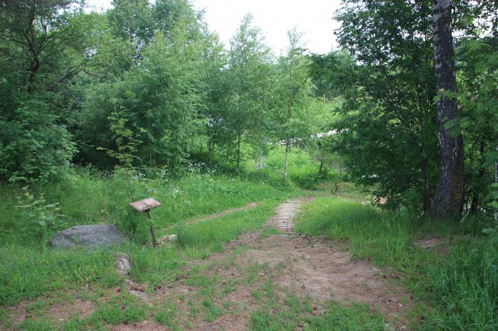 ������, ������ �������� ����� ��������� ���������� ���������� ������� �������