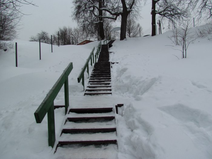 ������, ������ �������� ����� ���������� ������� ��������������