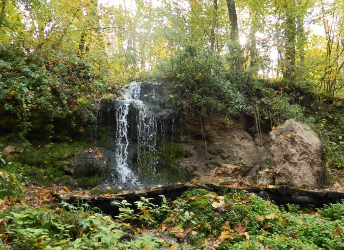 ��������� ������� ����� ������