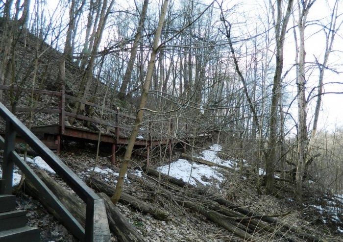 ������������ ������