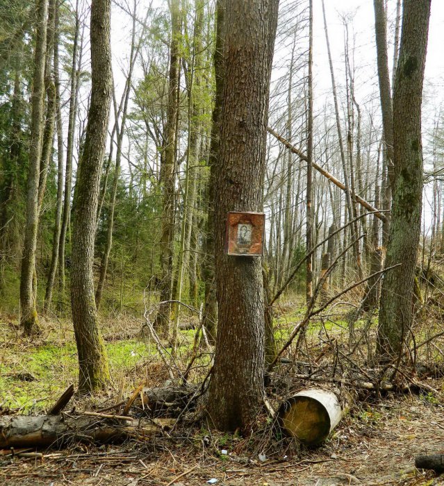 �������, ������ �������� �������������� ��������� ������� ������� ��������