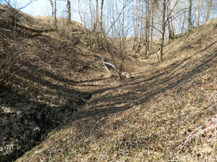 ������, ������ �������� ��������� ����� ������ ������ ������� ������� ������