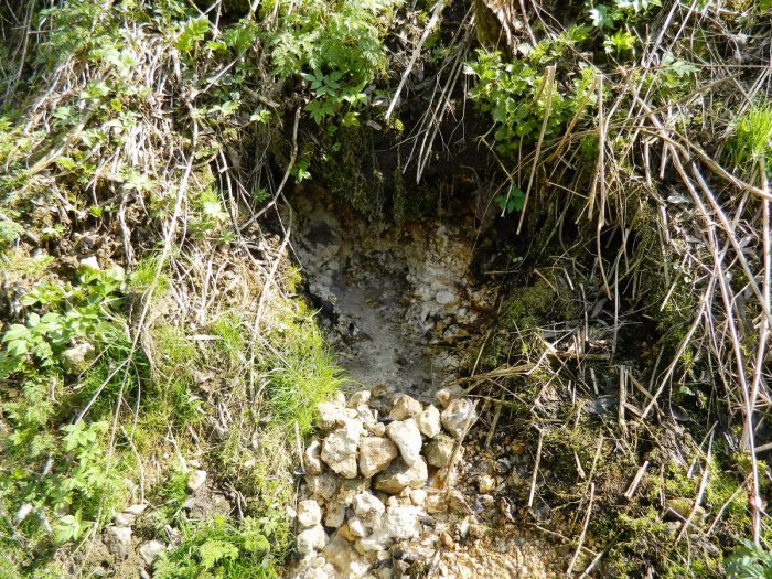 ������, ������ �������� � ����� ������������ �������� ������� ������� ������