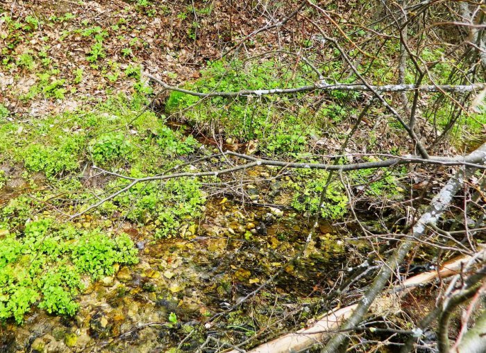 �������, ������ �������� ������������ ������, ������� ������������, ���������� ���� ����