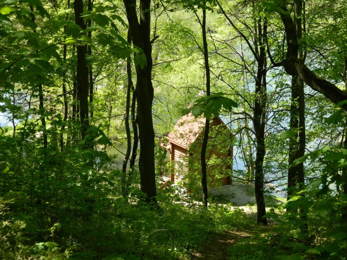 ������, ������ �������� ����� ������ ������ ��������� ���� �������-2