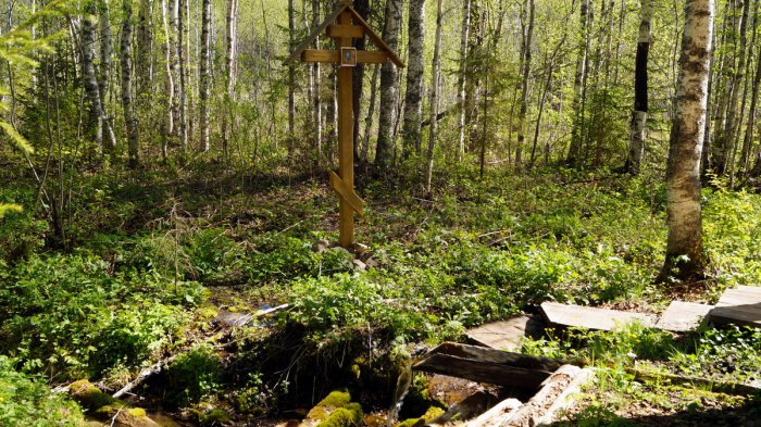 ������, ������ �������� ����� �������������� ������� ����������