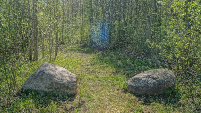 ������, ������ �������� ����� �������������� ������� ����������