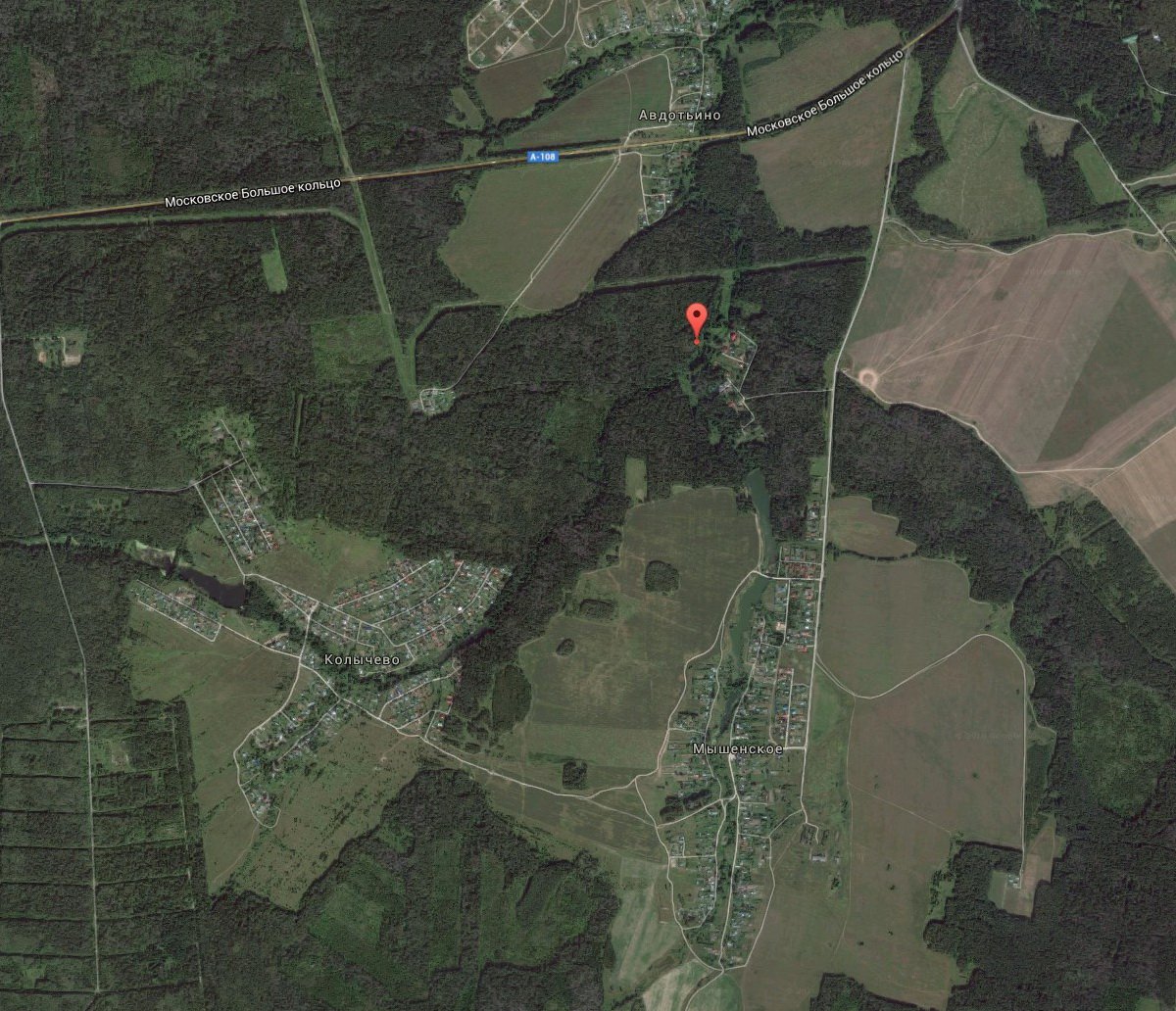 ������ � ���� ���������