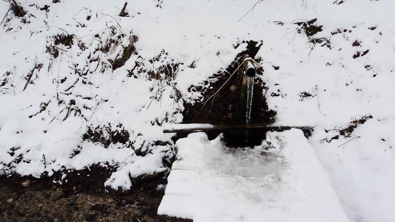 ������ ������� ������