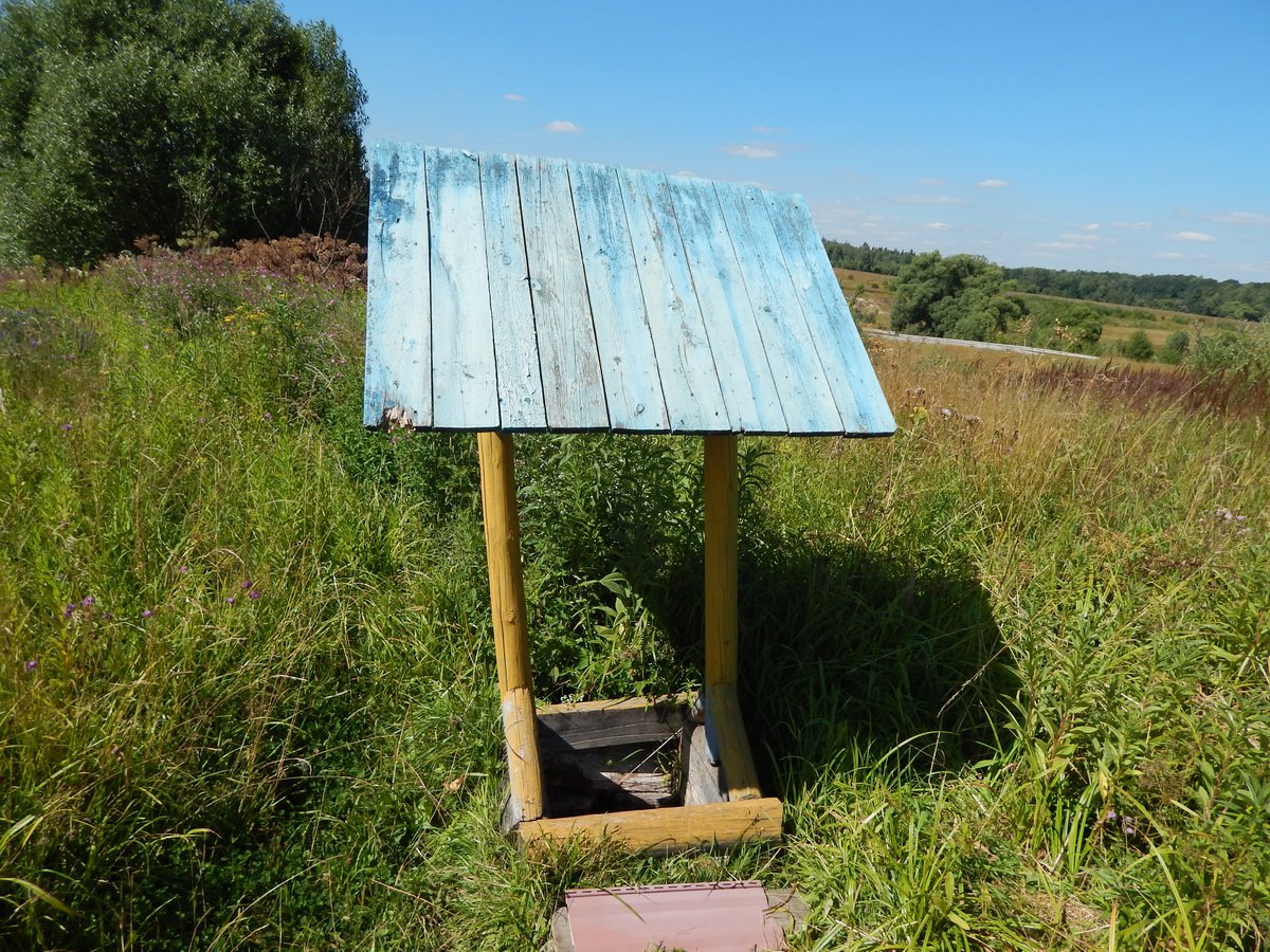 ������ ���� ������� ������