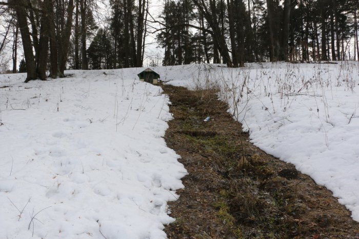 ������ � ���� �����������