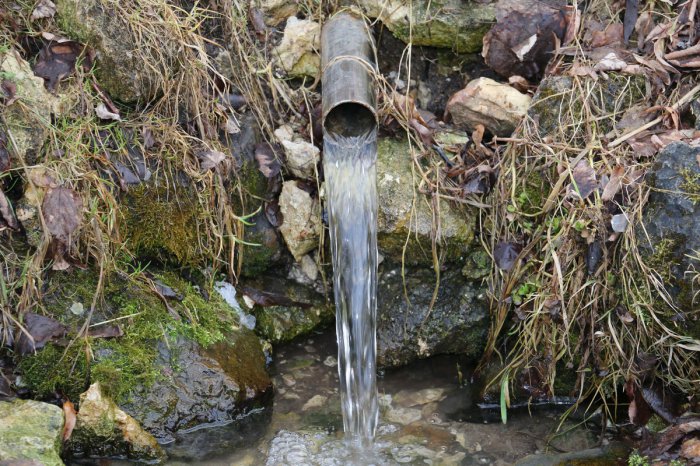 ������ � ���� �����������