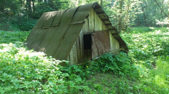 ���������� ������� � ���� �����������