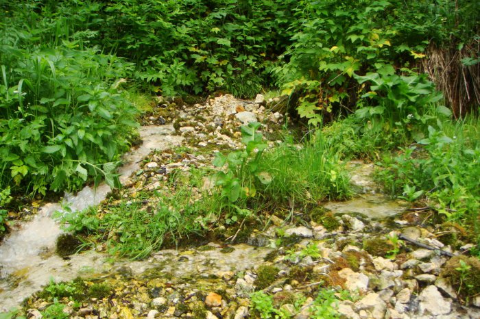 ������� �12 ������ � ������� ��������