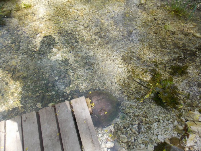 ������, ������ �������� �������� � ����������� ����� ��������� ����� �����