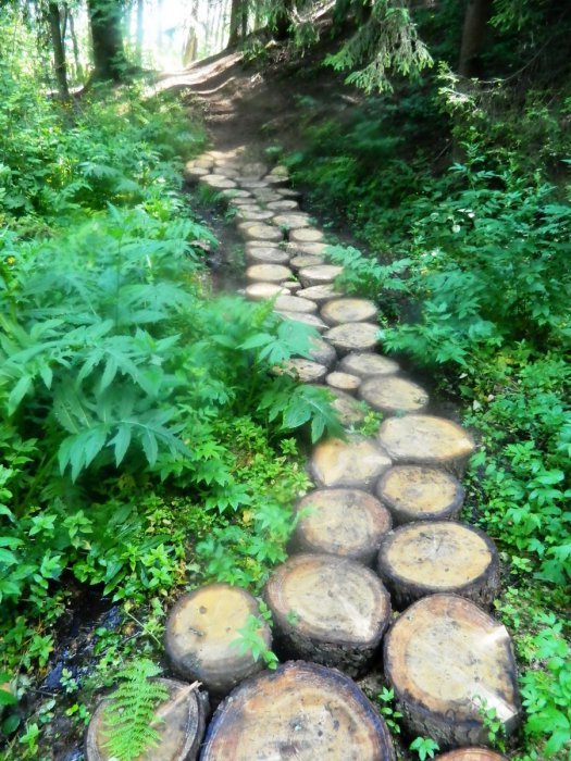 ������ ������������ ������ ��������