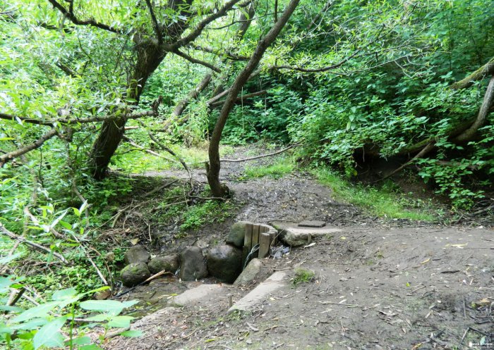 ��������� ������ ����������� ���� � ����� ������ ���� ������