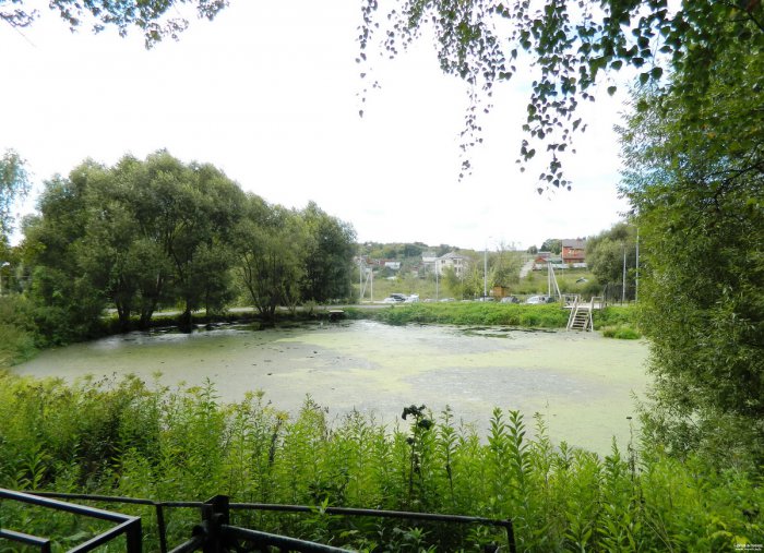 ������������� ������ ���� ����������