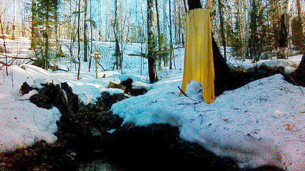 ������, ������ �������� ��������� ������� ���������� � ���� ��������