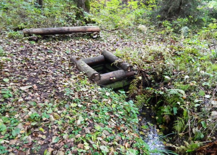 ������, ������ �������� ���������� ����� ������ ������ � �������� ������� � ��������