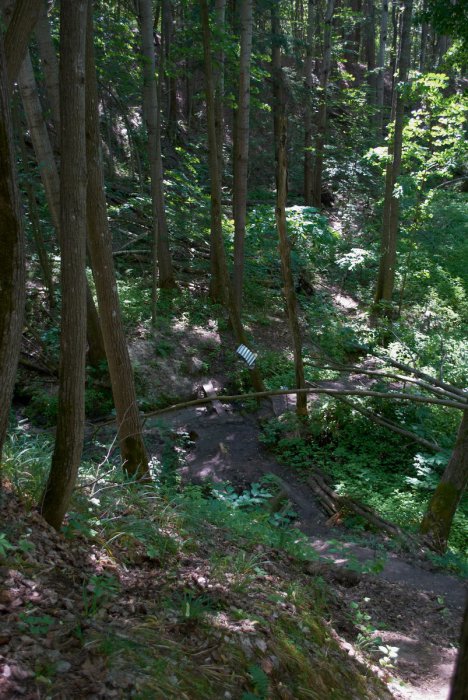 �������, ������ �������� �12 ��������� � ������� ������