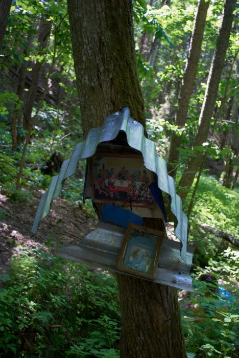 �������, ������ �������� �12 ��������� � ������� ������