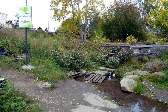 ������ �������� ������ ����� ������������