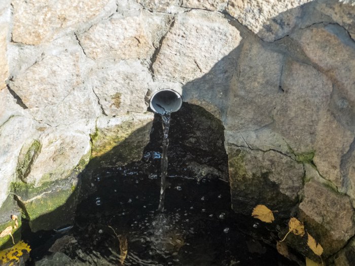 ������ ����� ������ �������� � ������ ������������