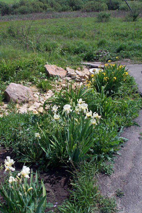 ������ ������ ����������