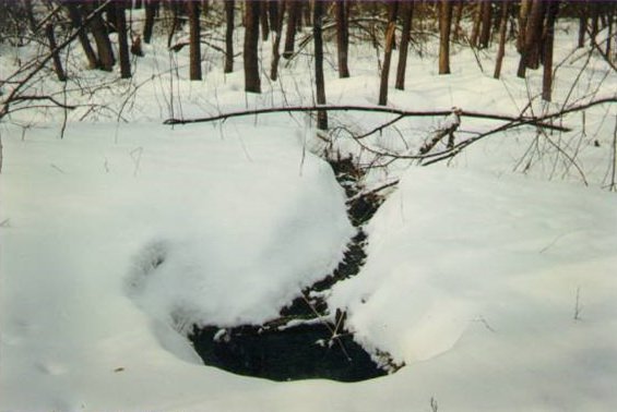 ������� ���� �����������