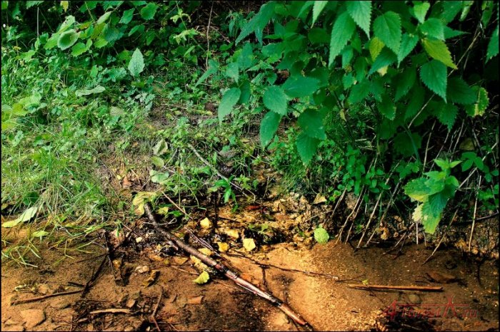 �������, ������ ��������� ���������� ��������� ������� ������� ����� ����