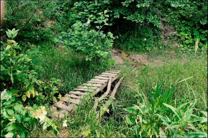 �������, ������ ��������� ���������� ��������� ������� ������� ����� ����