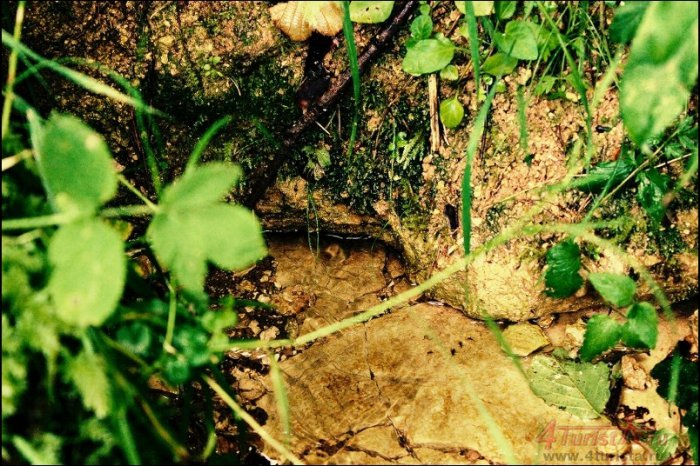 �������, ������ ��������� ���������� ��������� ������� ������� ����� ����