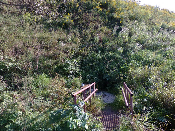 �������, ������ �������� ���������������� ����� ����� ����