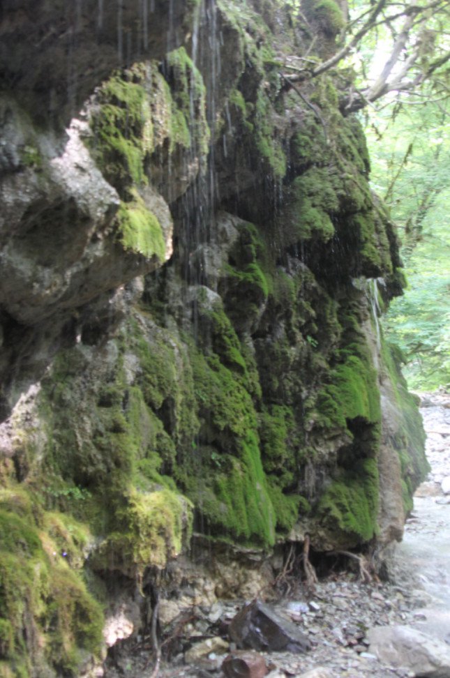 Водопад «Плачущие скалы», святой источник двенадцати Апостолов у села Солохаул