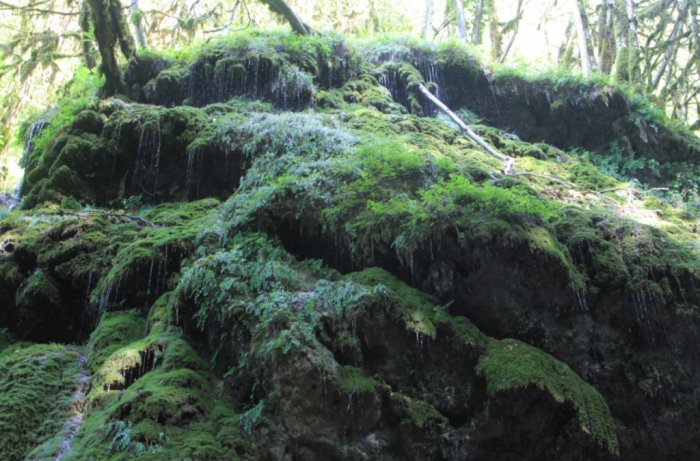 Водопад «Плачущие скалы», святой источник двенадцати Апостолов у села Солохаул