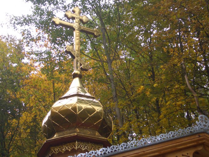 ������, ������ �������� ���������������� ��������� ������� ������ ����������