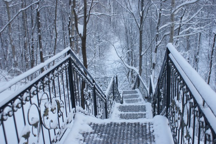 ������, ������ �������� ���������������� ��������� ������� ������ ����������