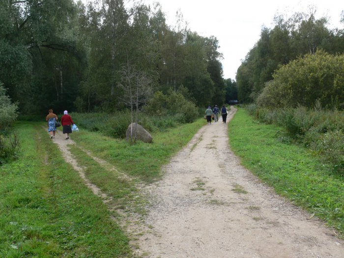 ������ �������� ������������ �������� ���������� � ������� �������