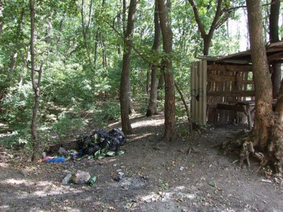 ������� � �������� ���� ���� �������-����������