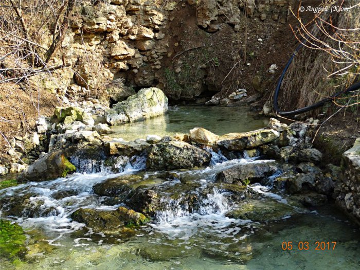 ������������� ������ ���� �������������