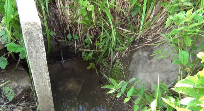 ������, ������ �������� ������� ���� � ���� ����������