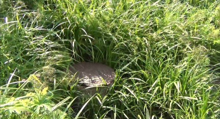 ������, ������ �������� ������� ���� � ���� ����������