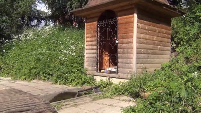 ������ ���������, ������ �������� ���� ������� ���� ����������