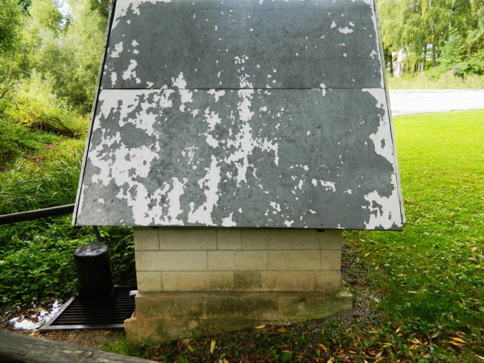 ������ ���� ���������