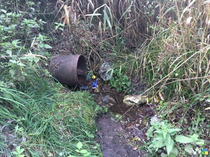 ������������ ������ � ���� ���������