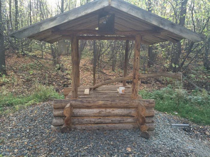 ������ ���� ������� �����������