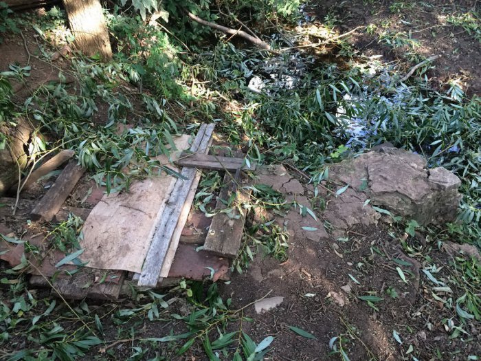 ������ ���� ��������